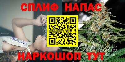 гашик Обь